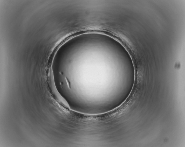 X0000090991212200708091512