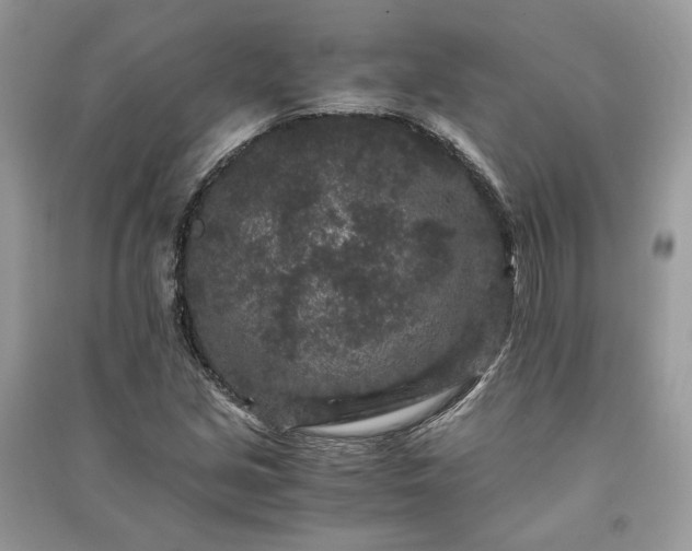 X0000090991213200708091512