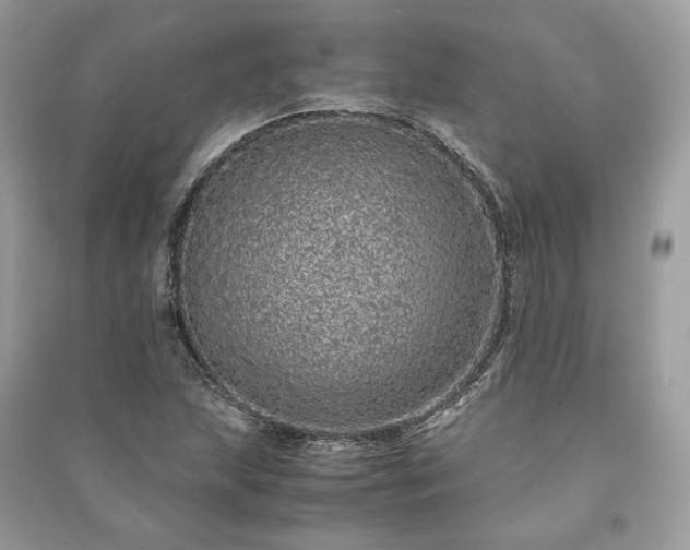 X0000090991215200708091512