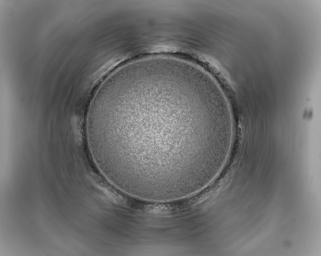 X0000090991217200708091512