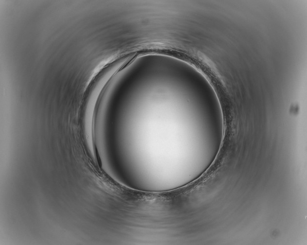 X0000090991218200708091512