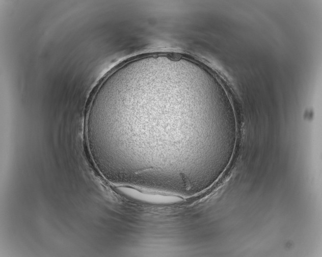 X0000090991220200708091512