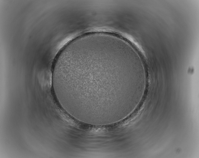 X0000090991221200708091512