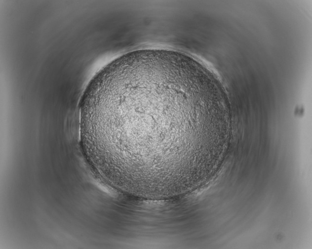 X0000090991223200708091512