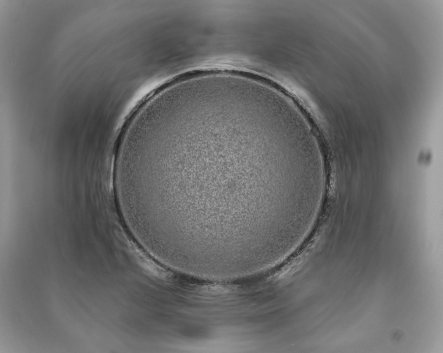 X0000090991224200708091512