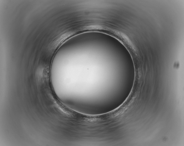 X0000090991225200708091512