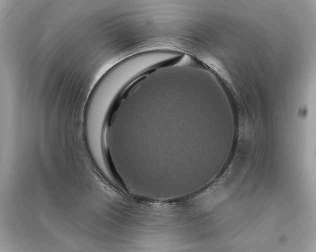 X0000090991226200708091512