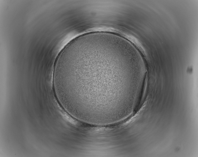 X0000090991228200708091512