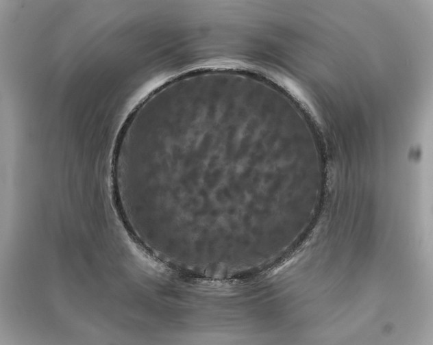 X0000090991229200708091512