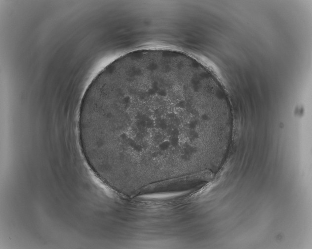 X0000090991231200708091512