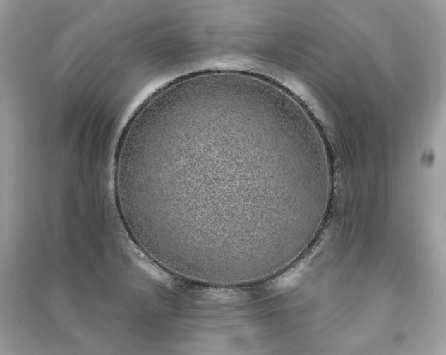 X0000090991232200708091512