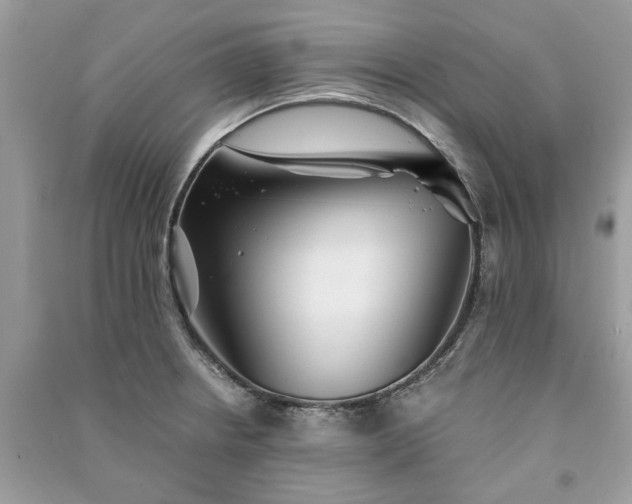 X0000090991234200708091512