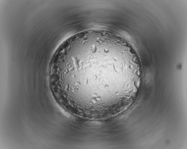 X0000090991235200708091512