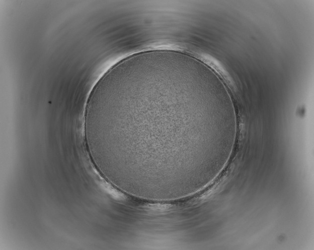 X0000090991236200708091512