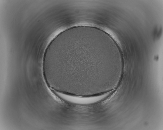 X0000090991237200708091512