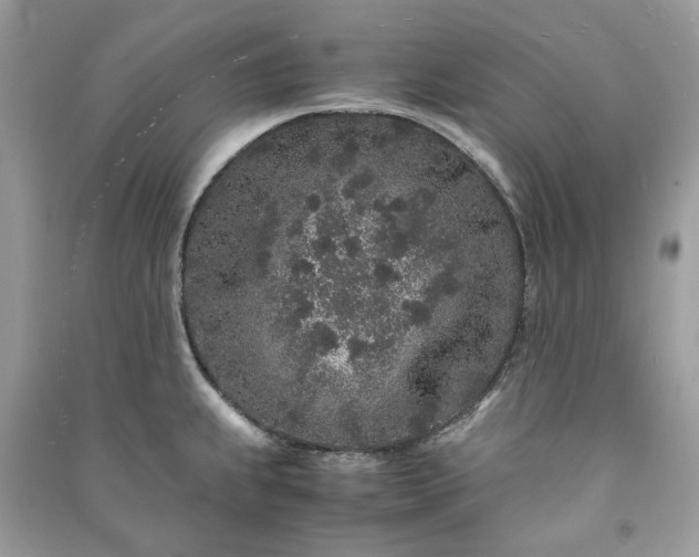 X0000090991239200708091512