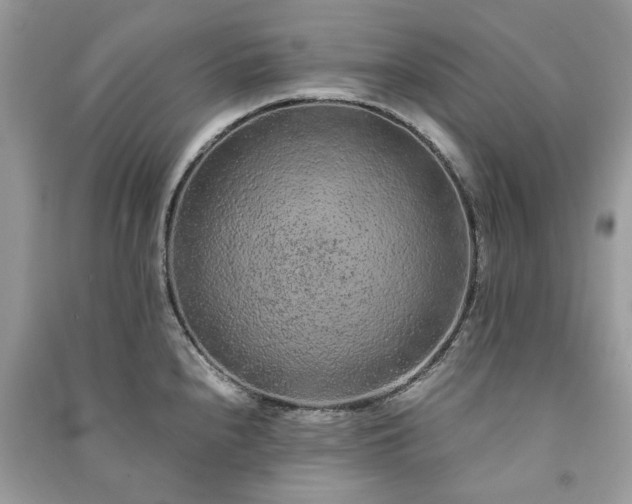 X0000090991240200708091512