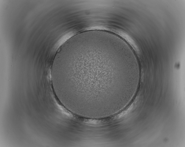 X0000090991241200708091512