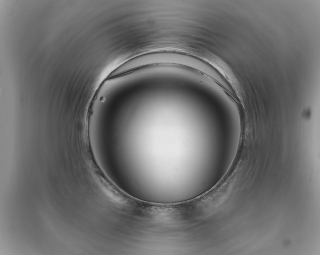 X0000090991242200708091512