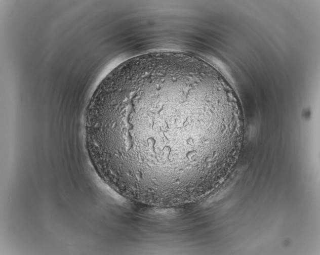 X0000090991243200708091512