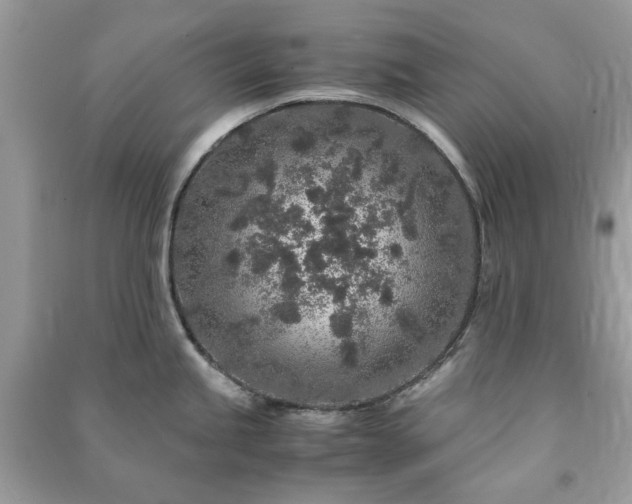 X0000090991245200708091512