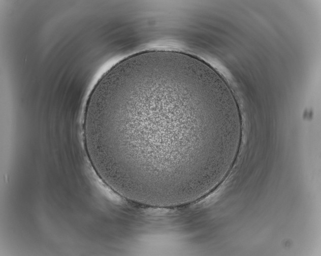 X0000090991248200708091512