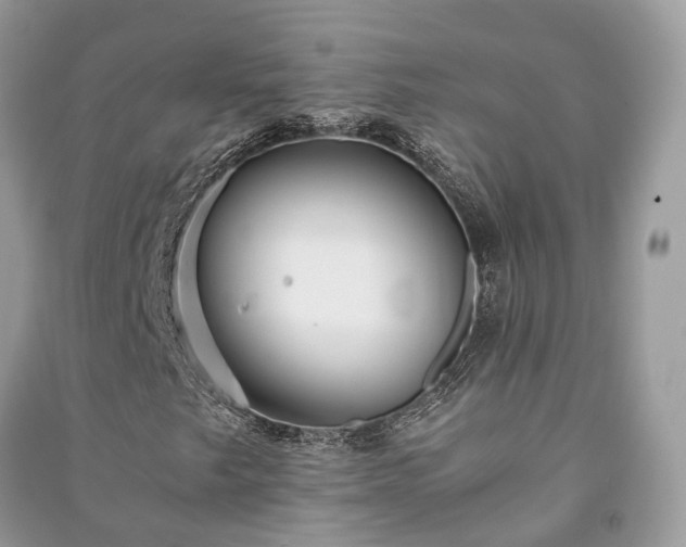 X0000090991249200708091512