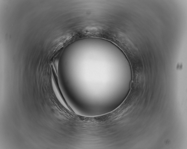 X0000090991250200708091512