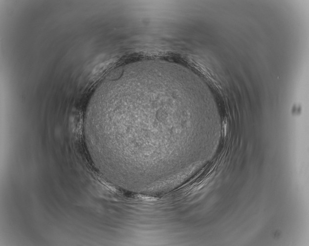 X0000090991251200708091511