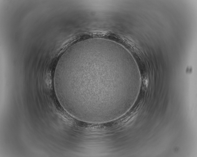 X0000090991252200708091511