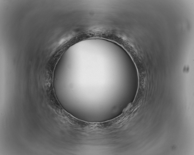 X0000090991253200708091511