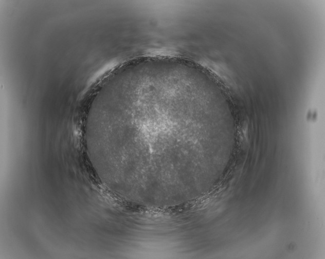 X0000090991254200708091511