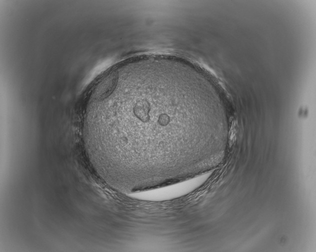 X0000090991255200708091511