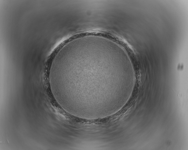 X0000090991256200708091511