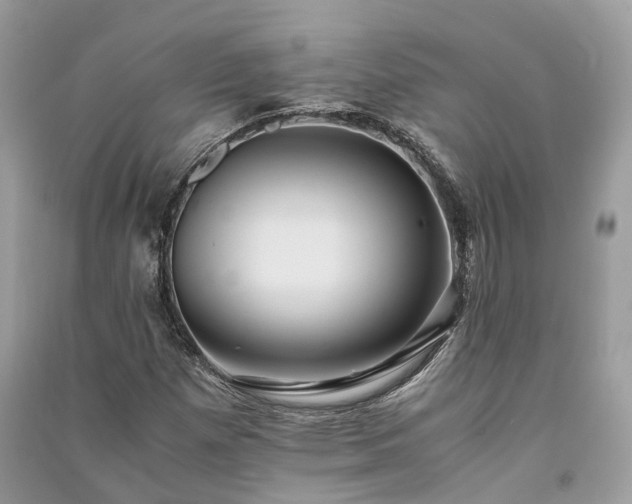 X0000090991257200708091511