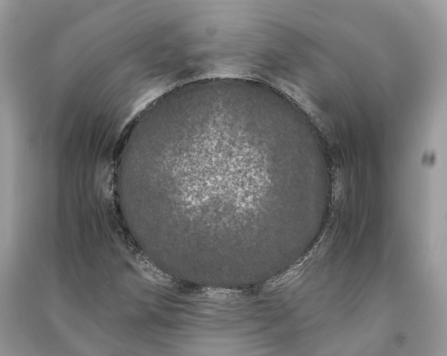 X0000090991258200708091511