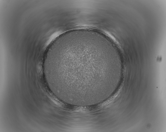 X0000090991259200708091511