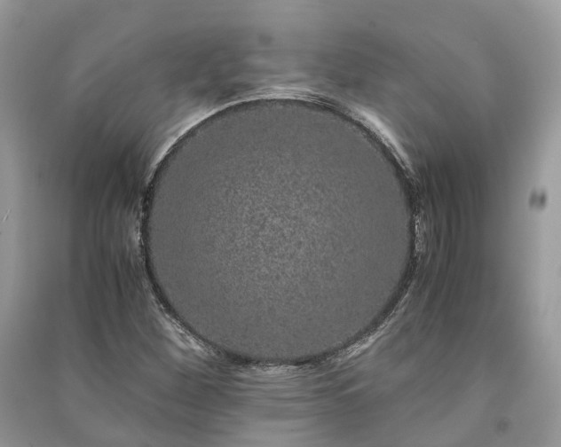 X0000090991260200708091511