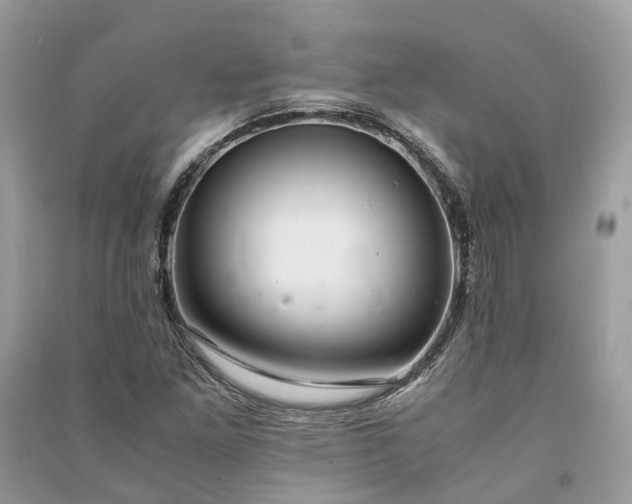 X0000090991261200708091511