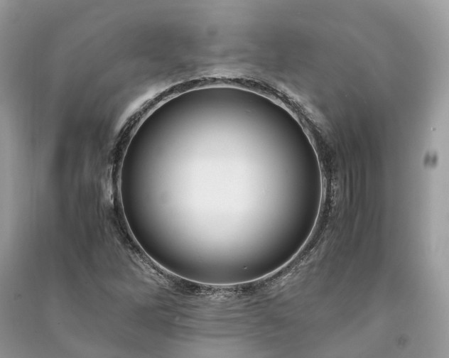 X0000090991262200708091511