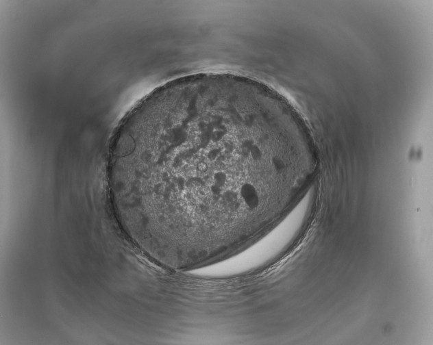 X0000090991263200708091511