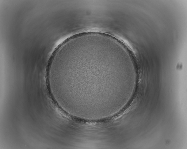 X0000090991264200708091511