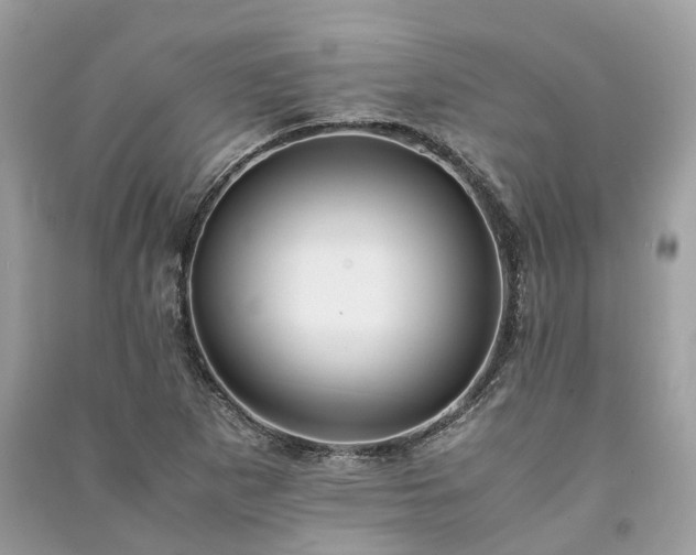 X0000090991265200708091511