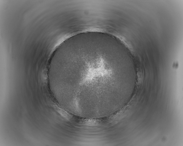 X0000090991266200708091511