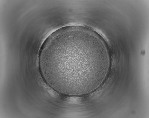 X0000090991268200708091511