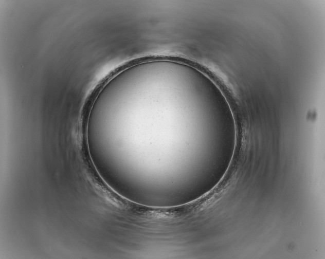 X0000090991270200708091511