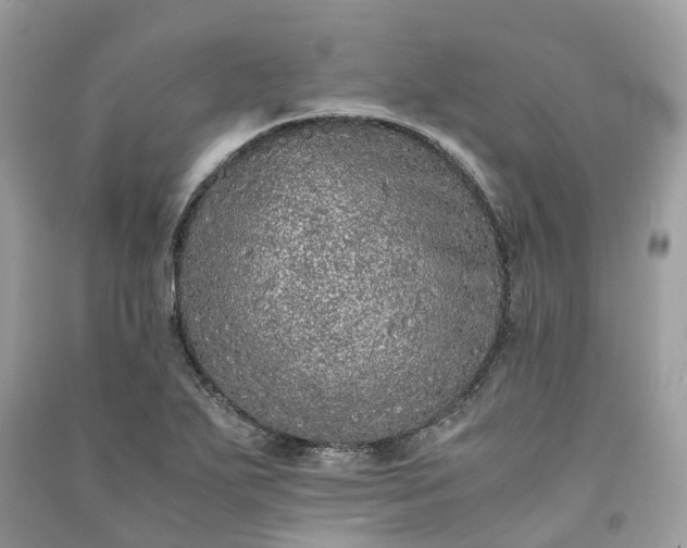 X0000090991271200708091511