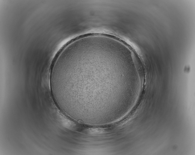 X0000090991272200708091511