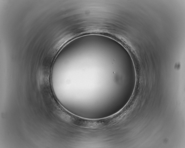 X0000090991273200708091511