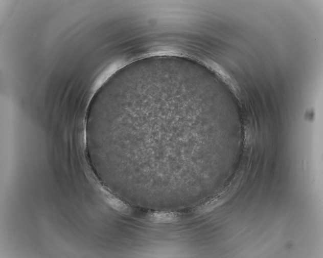 X0000090991274200708091511